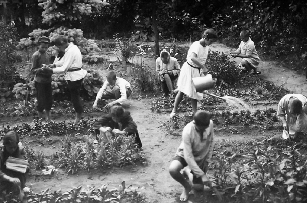 Июнь 1918 В Москве появились ботаники
